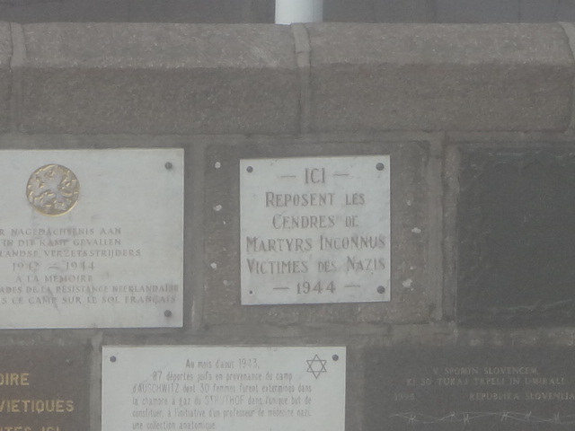 DSC01134.JPG