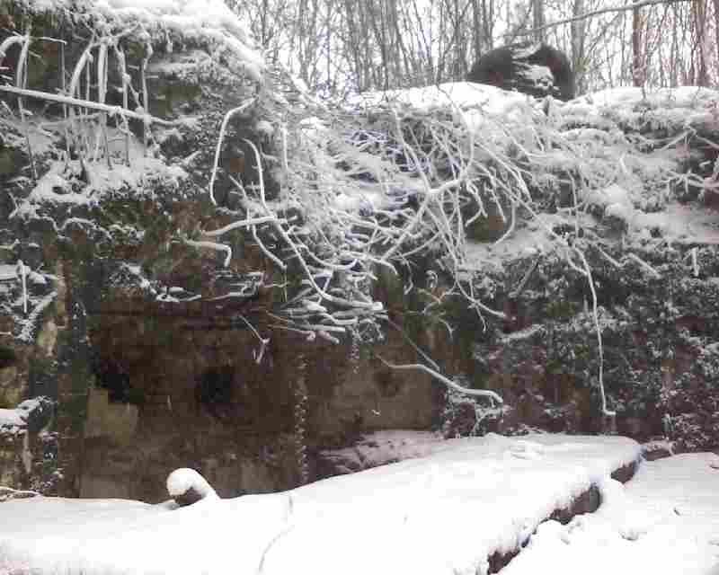 IMAGE_094bis.jpg